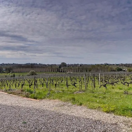 Maison De Caractere Au Coeur Des Vignes * Montagne (Gironde)