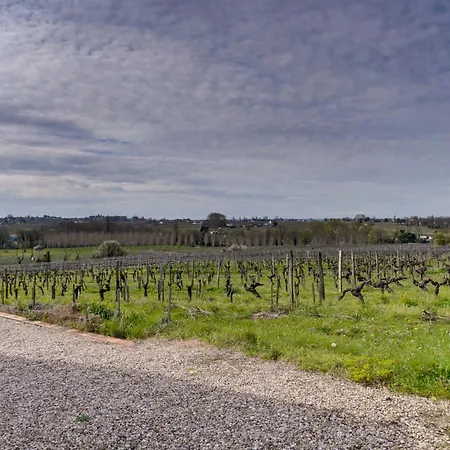 La Maison Des Vignes Ferienhaus *