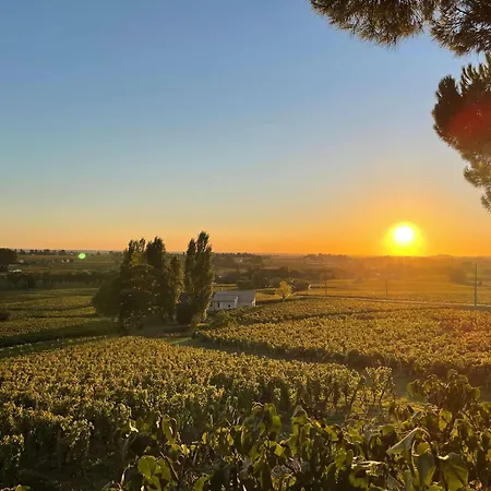 La Maison Des Vignes *