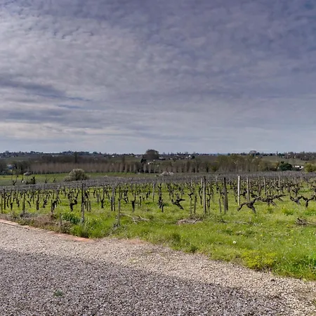 La Maison Des Vignes Ferienhaus *