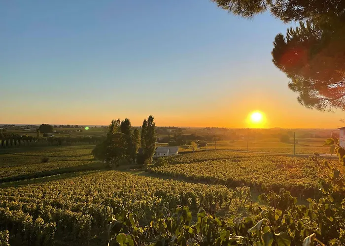 Maison De Caractere Au Coeur Des Vignes *